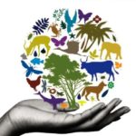 What is a food with a protected origin? What is a food with a protected origin?